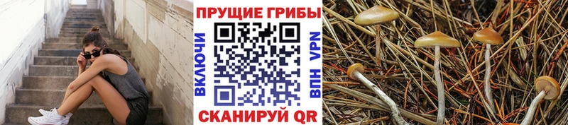 Псилоцибиновые грибы Psilocybine cubensis  ссылка на мегу зеркало  Сосновка 